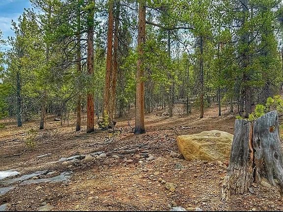 2nd image of 66 Mount Massive Road