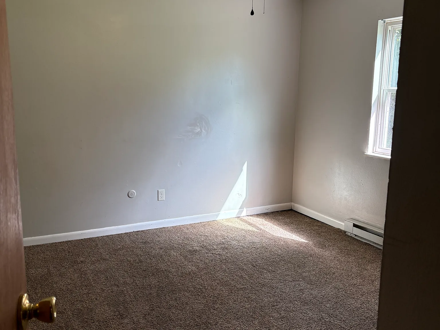 1 bed, 650 sqft, $800 — Photo 4