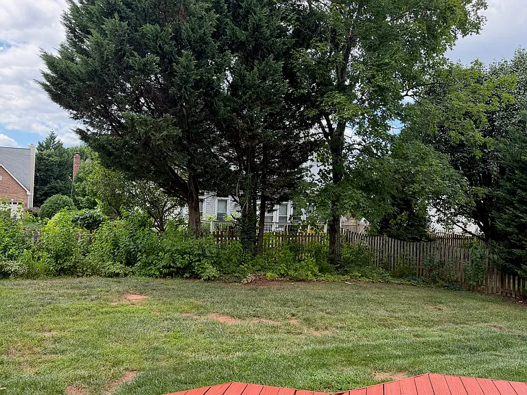 13567 Cobra Dr — Photo 23