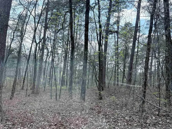 6 Tafalla Pl, Hot Springs Village, AR 71909