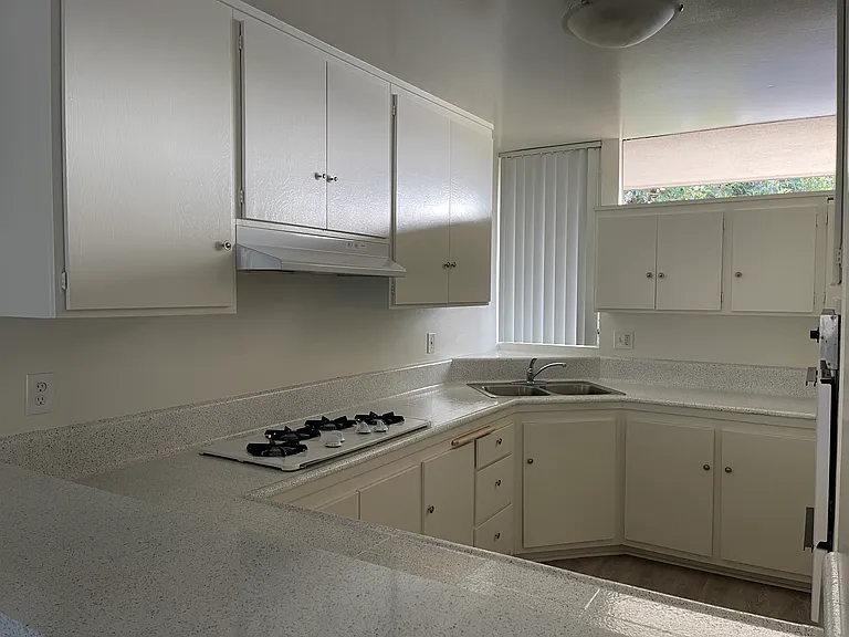 Palm Terrace Apartments — Photo 11