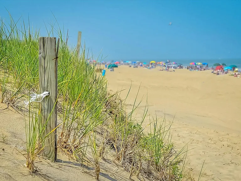 11 43rd St #2 — Photo 27