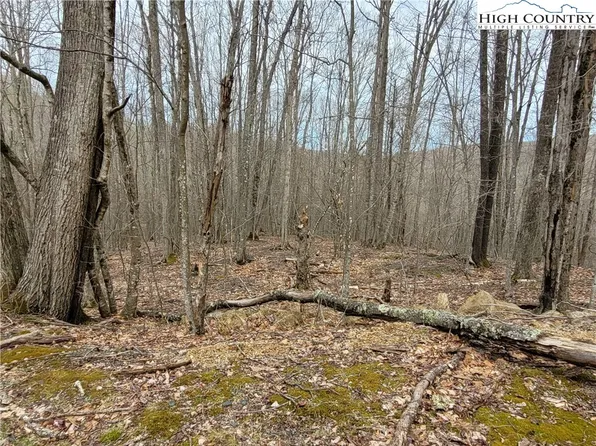 135 Arrowhead Road, Beech Mountain, NC 28604