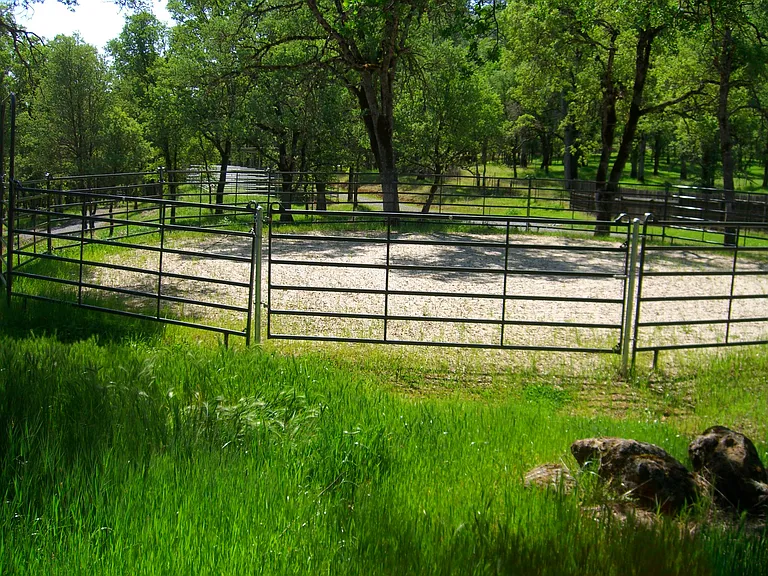 21039 Brewer Rd — Photo 21