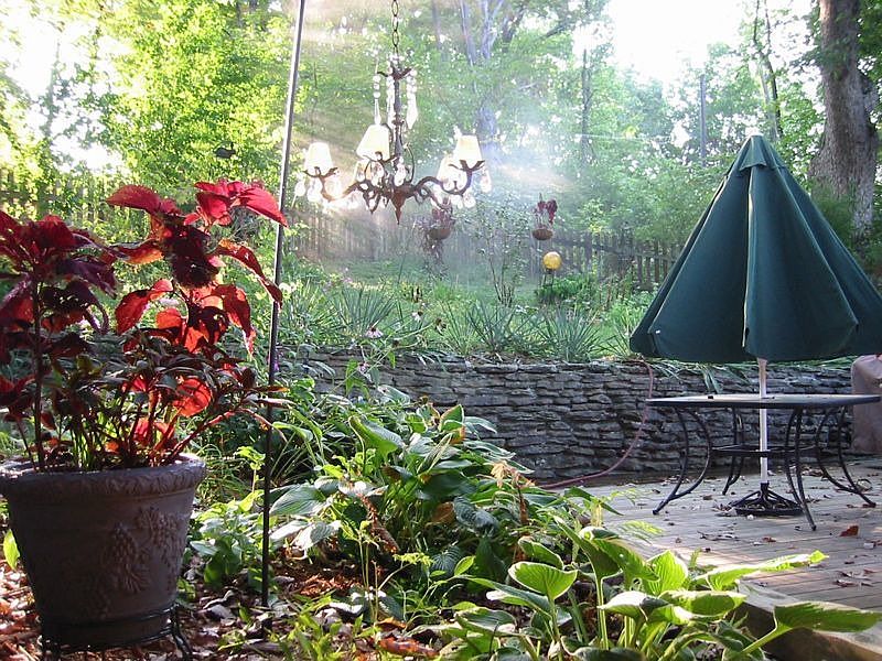 backyard from kitchen window