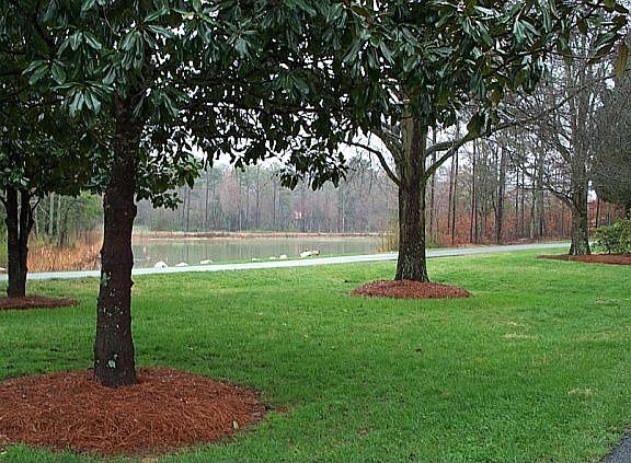 Trees line all of the streets, beautiful equistrian area. Horses permitted!