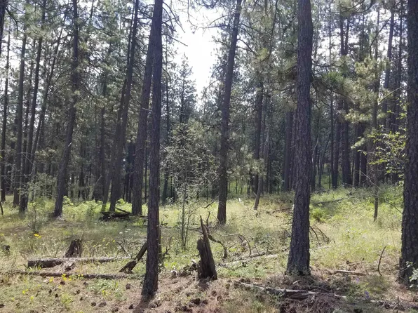 4-55XX Rocky Top Way, Deer Park, WA 99006