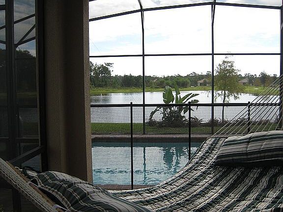 View from hammock