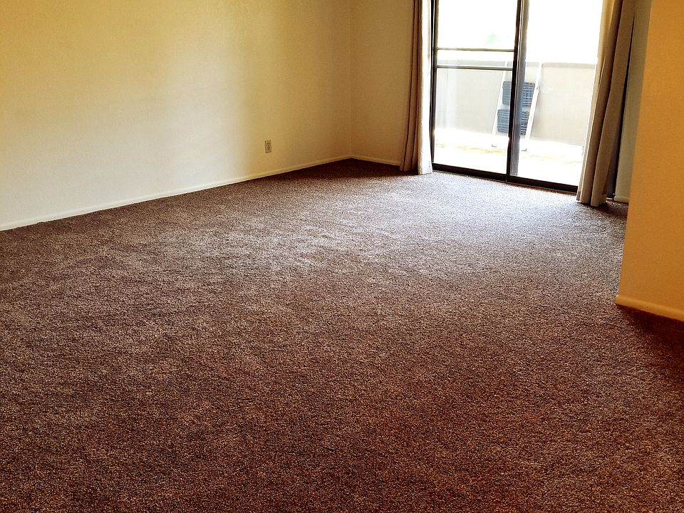New carpeting