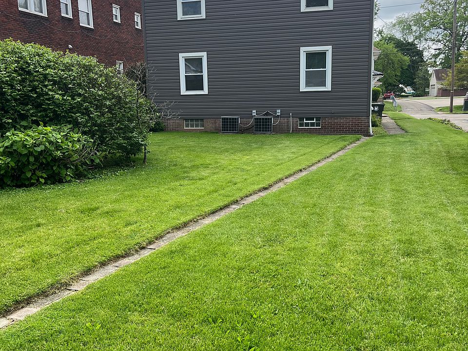 Backyard view