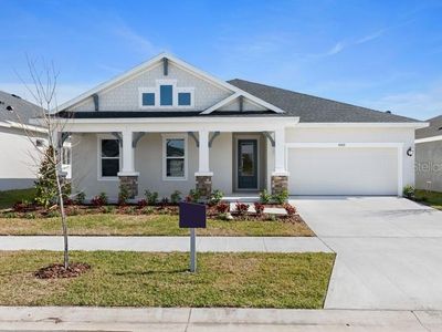 6143 Hidden Branch Dr, Apollo Beach, FL, 33572