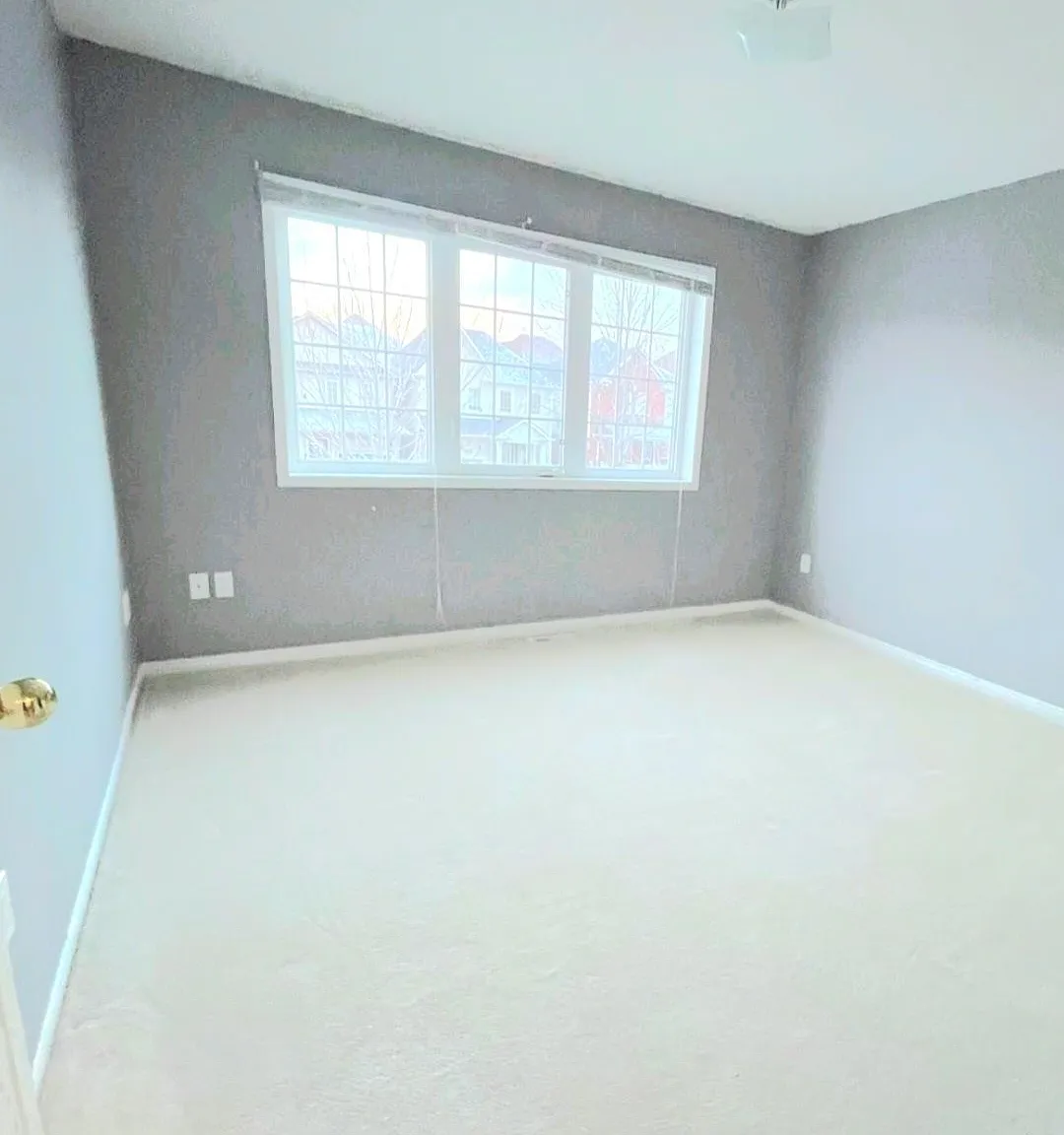 3 bed, $2,900 — Photo 3