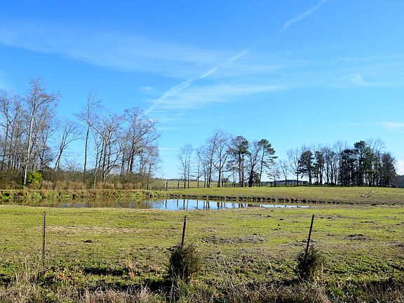 Image 5: Ponds
