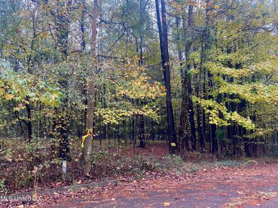 0 Hazlewood Cir, Hazlehurst, MS, 39083