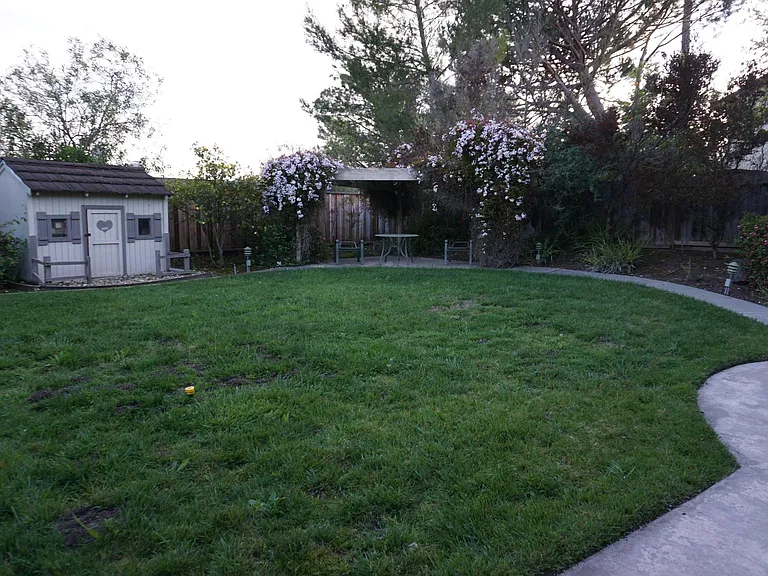 backyard with plenty of plants and gazebo