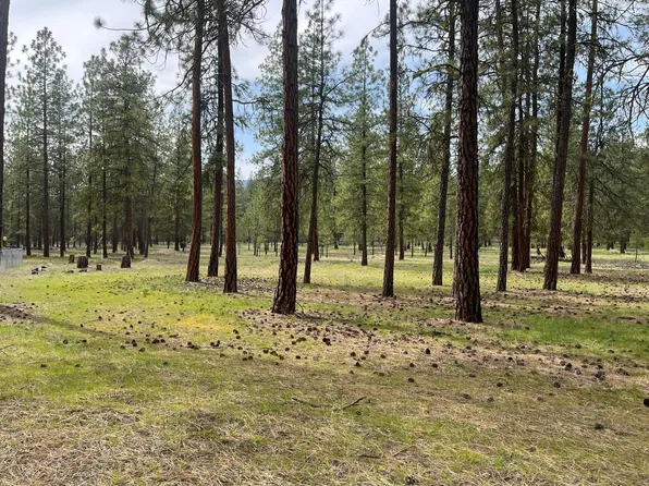LOT 1 Denton Dr, Kettle Falls, WA 99141