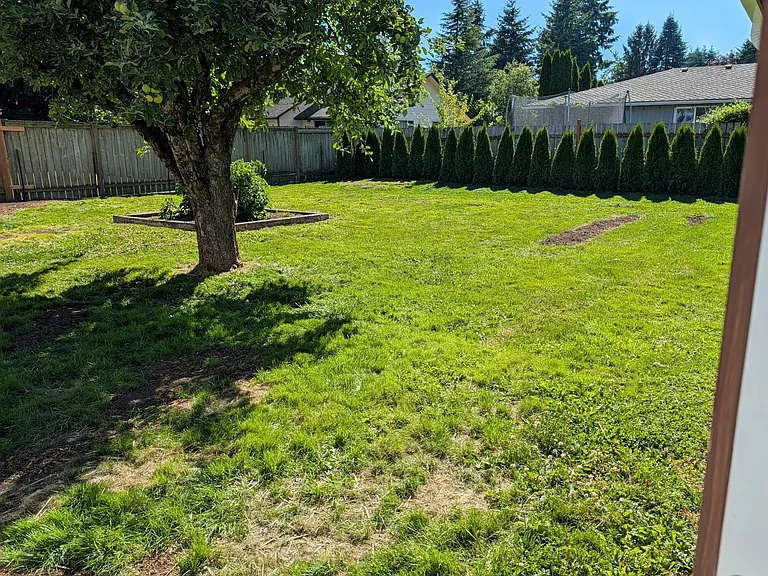 730 Myrtine St — Photo 3
