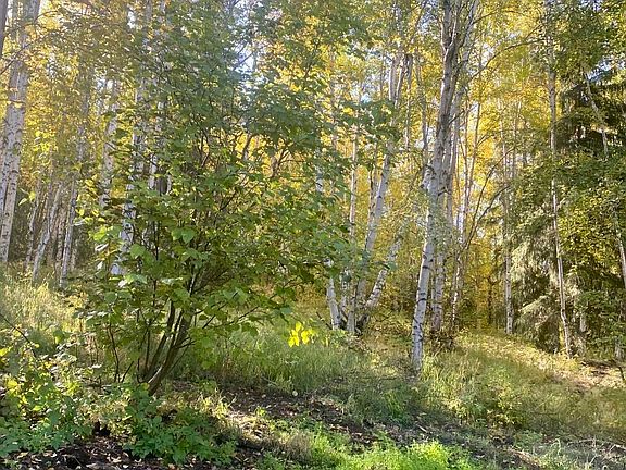 4th image of 5912 Standard Creek Rd