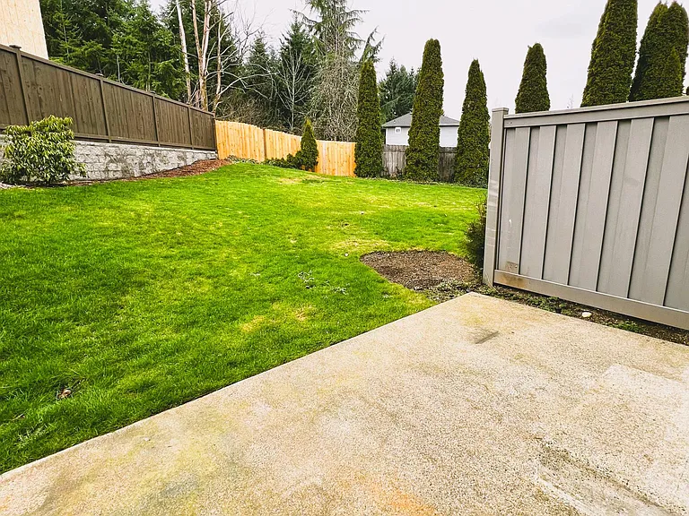 Back Patio & Yard