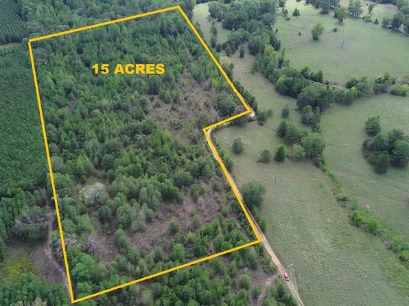 AB 77 Co Rd 1675, Grapeland, TX 75844