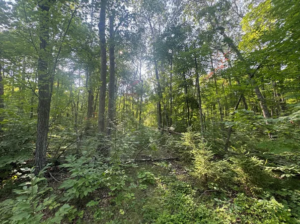 Howard Lake Rd NW, Akeley, MN 56433