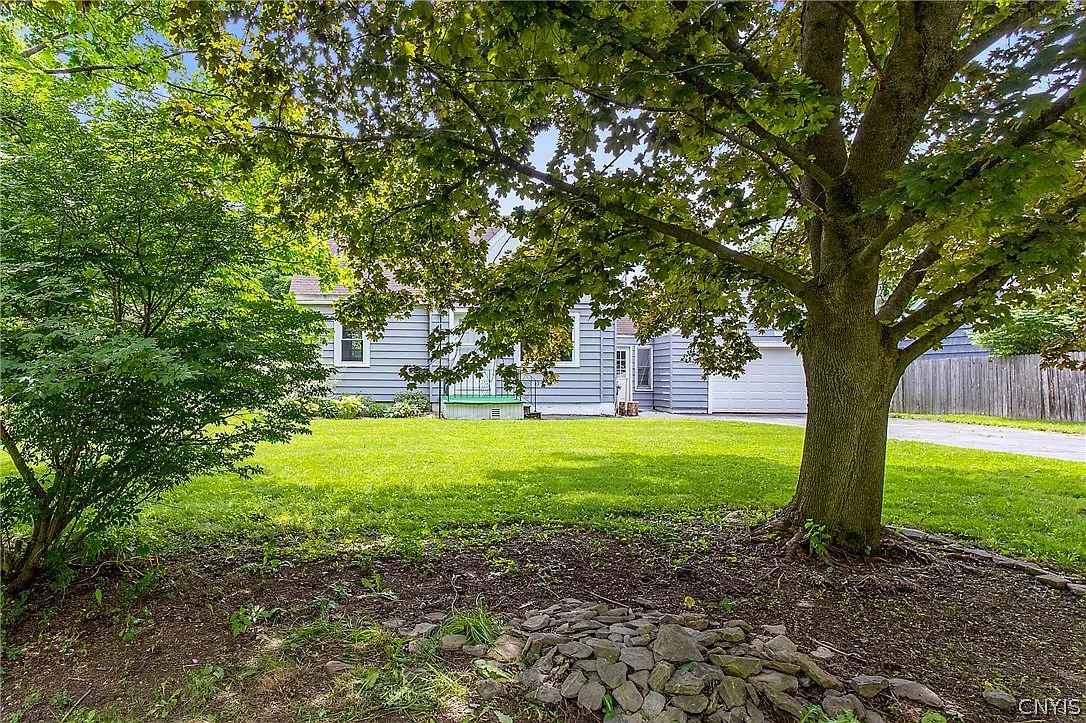 3 bed, 1.0 bath, 1215 sqft, $2,500 — Photo 4