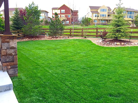 Backyard - Open Space