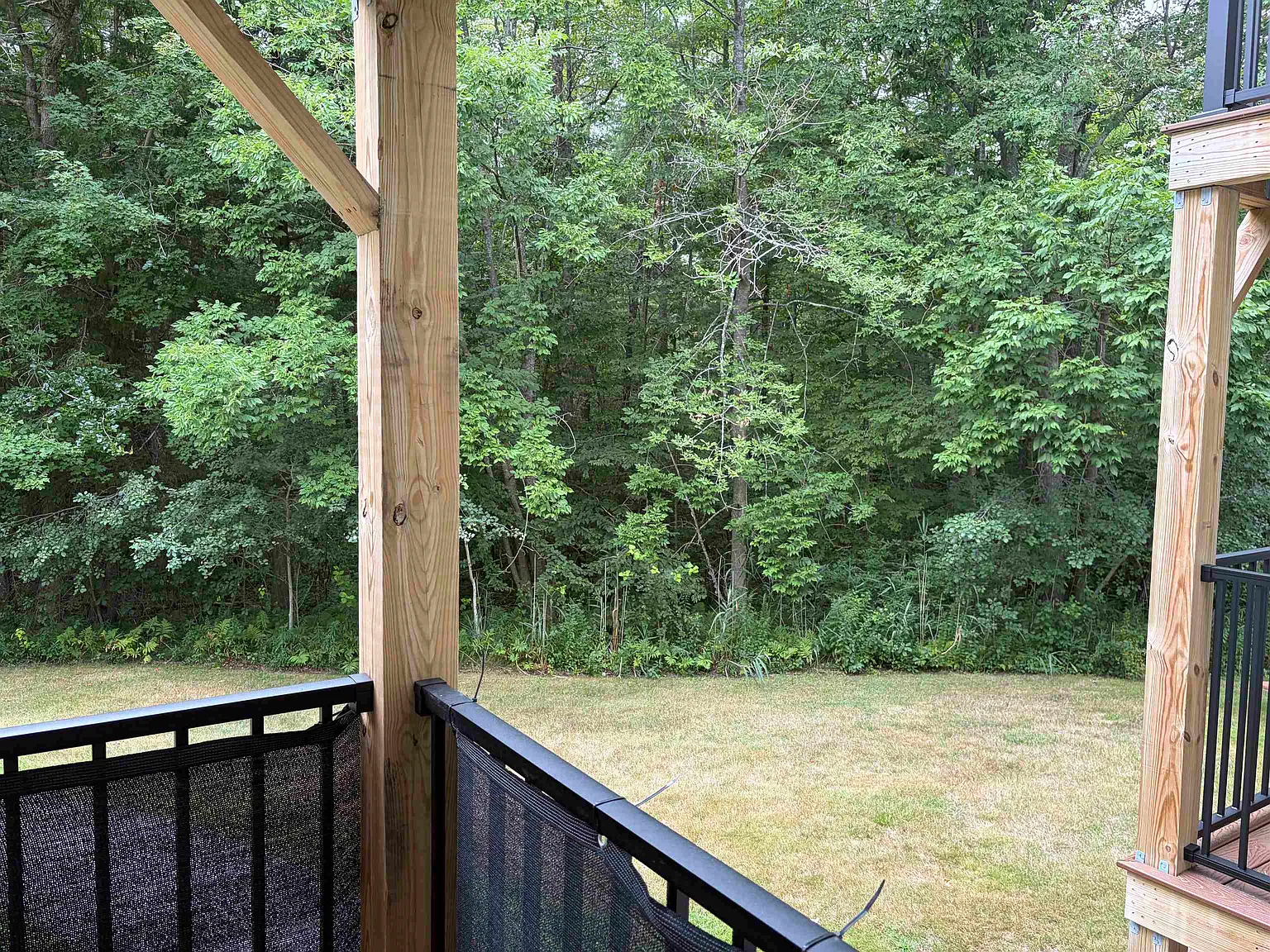2 bed, 1.0 bath, 804 sqft, $2,300 — Photo 3
