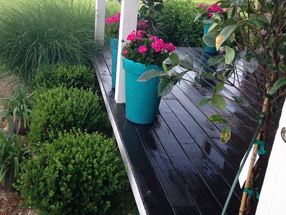 Mature landscaping