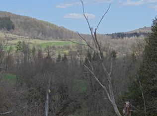 513 Graham Rd, Smyrna, NY 13464