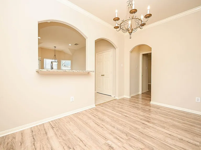 18518 Shadow Line Ct — Photo 10