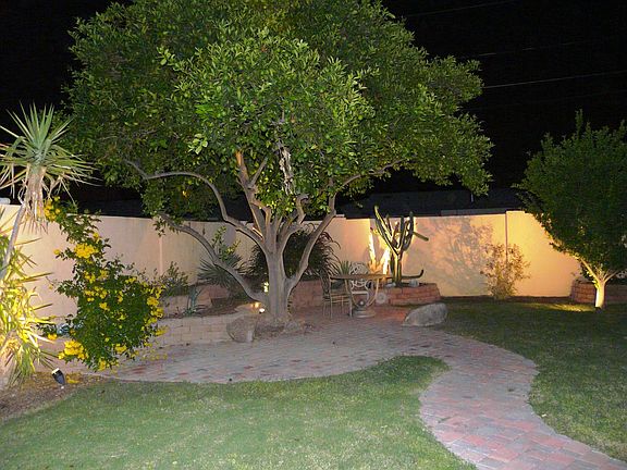 Back Yard Citrus Trees