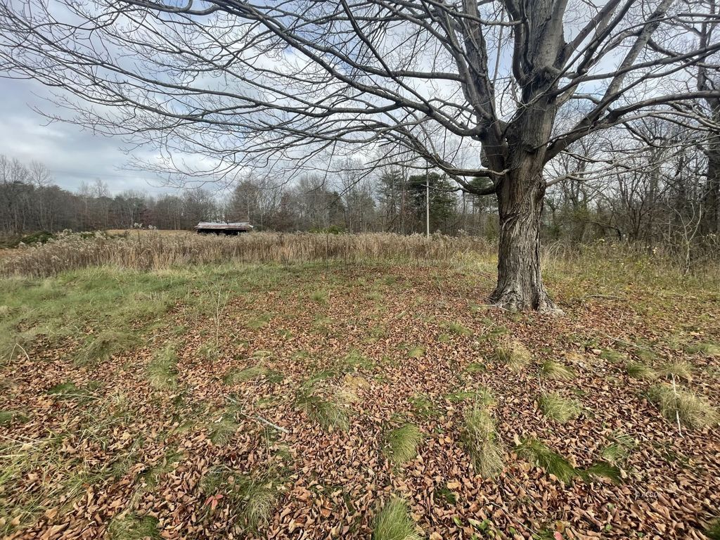 Real estate listing image
