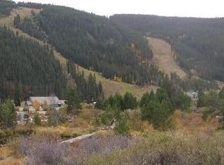84 Oro Grande Dr, Keystone, CO 80435