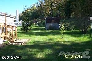 Back yard