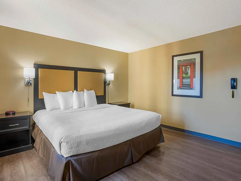 1 Bedroom Suite - 1 King Bed