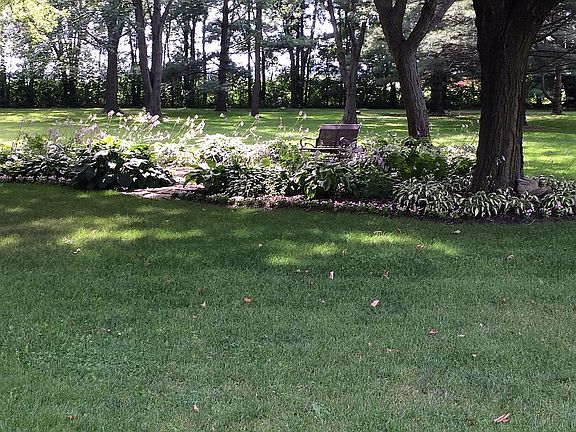 Front Shade/Hosta Garden