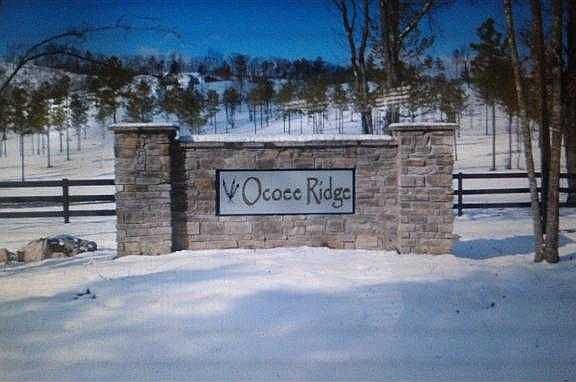 3rd image of 106 Bob White Dr