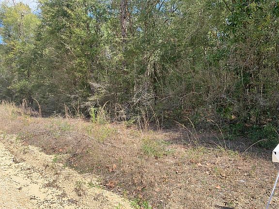 2nd image of 163 Tim Boland Rd