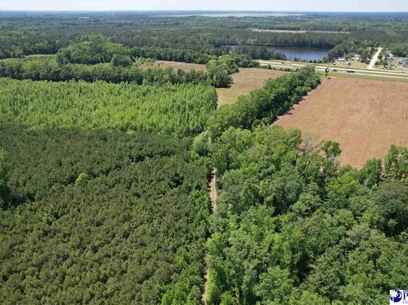 Side Of I 95 & Dalcho, Latta, SC 29565