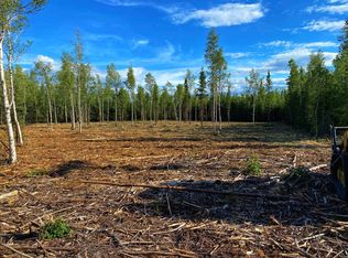 C 2 Allis Chalmers Ct, Delta Junction, AK 99737