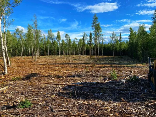 C 2 Allis Chalmers Ct, Delta Junction, AK 99737