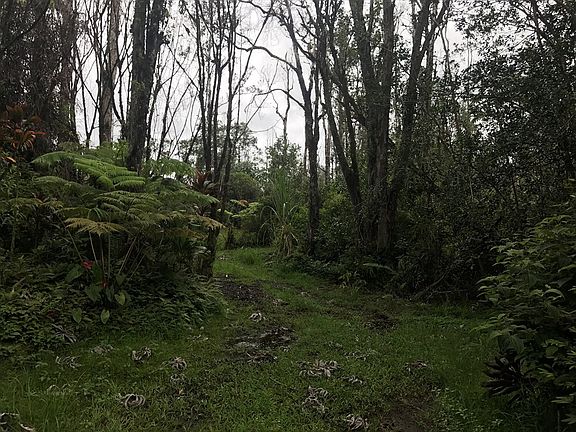 2nd image of Road 9 Koloa Maoli Lot 5369