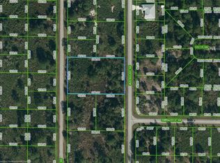 230 Norseman Ave NW, Lake Placid, FL 33852