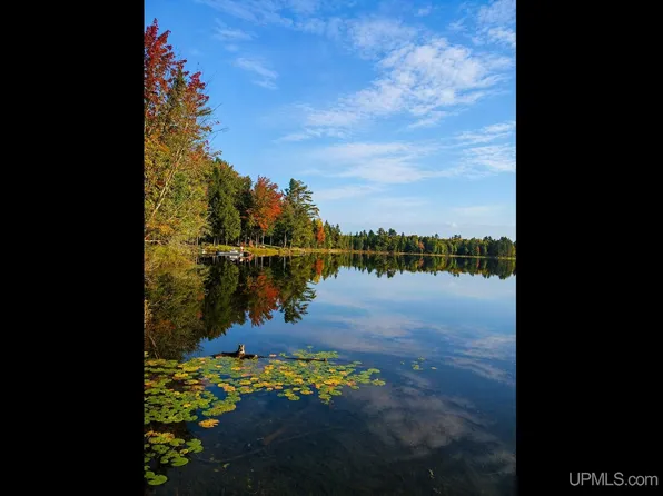 301A-301B Robinson Lake Rd, Iron River, MI 49935