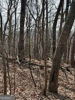 5th image of 0 Burnt Mountain Ridge Rd