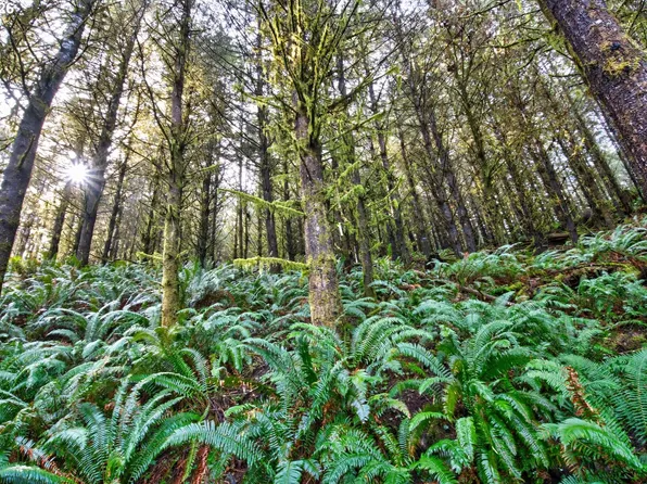 0 Highway 42 S #2, Coquille, OR 97423