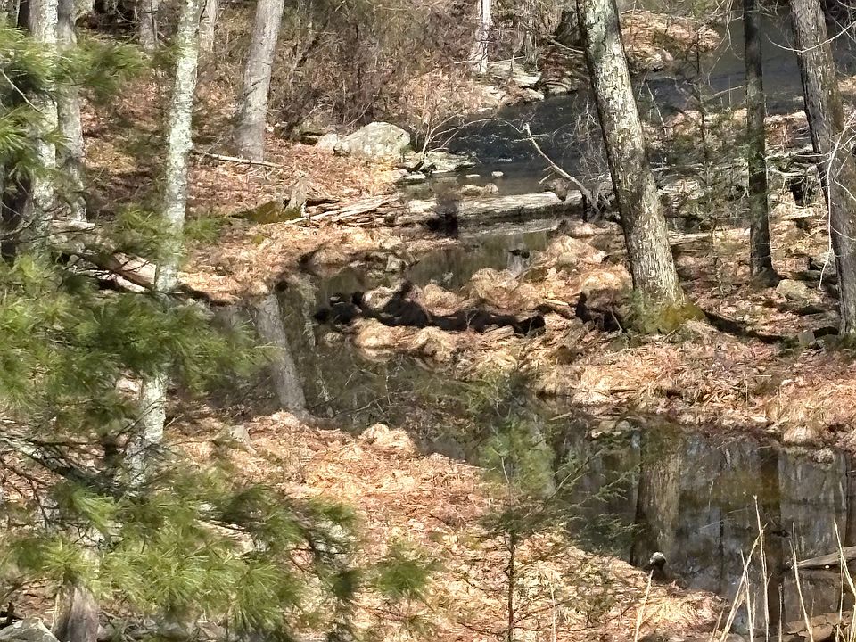 1st image of 0 Emalee Ct