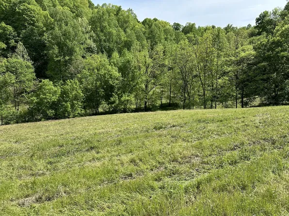 0 Massey Hollow Rd, Elmwood, TN 38560
