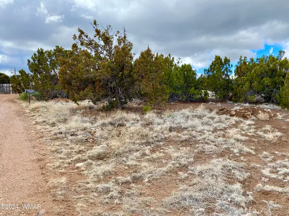 8418 Snowflake Cir, Show Low, AZ 85901